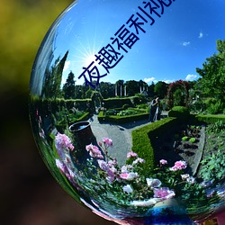 夜趣(趣)福利(利)视频
