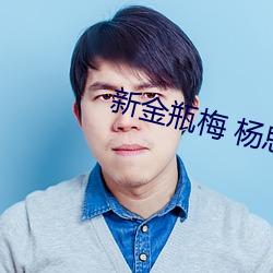 新金瓶梅 杨思敏