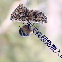 金年会 | 诚信至上金字招牌