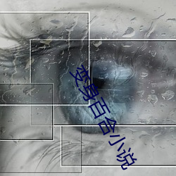 变身(shēn)百合小说