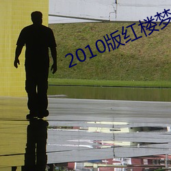 2010版红(紅)楼梦
