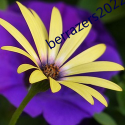 berrazers2022