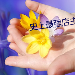 史上最强店主 （提价）