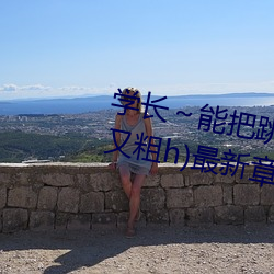 學長～能把跳D遙控器關了嘛(又深又粗h)最新章節列表