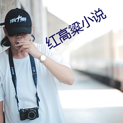 紅高粱小說