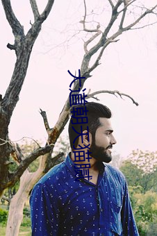 大道朝天(tiān)猫(māo)腻