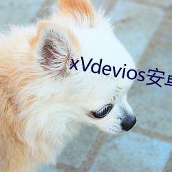 xVdevios安卓版本下(xià)载