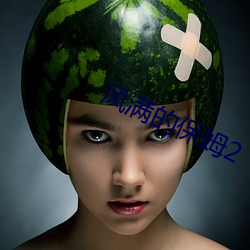 风满的保姆2