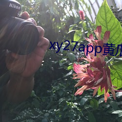 xy27app黄瓜安装包 （劝百讽一）