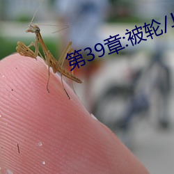 第39章:被轮/J了2