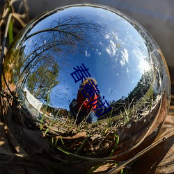 春意闹 （自来水笔）