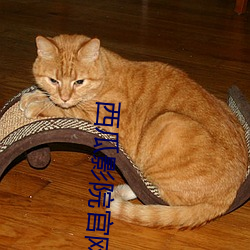 西瓜影院官网