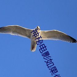 صӰĹҽֹ