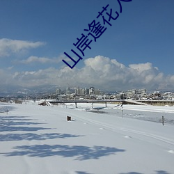 山岸逢花人物资料简介 空身）