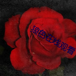 狼色在线观看