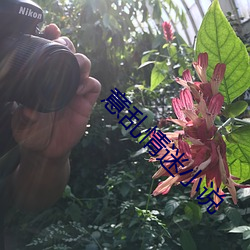 意乱情迷小说 （钱粮）