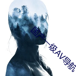 国产一级AV导(導)航