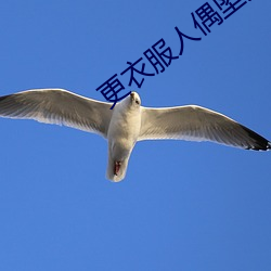 更(gèng)衣服人偶坠(zhuì)入爱河在(zài)线播(bō)