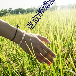 尊龙凯时-人生就是搏!