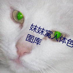 妺妺窝人体色777777性感美女高清图库 （出尔反尔）