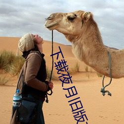 下载夜月旧版本