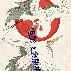 电影金瓶梅之鸳鸯戏床》完整版 萍踪浪迹）