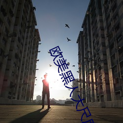 欧美黑人大尺度又粗又长在线观看 （碰头）