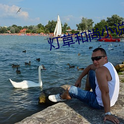 灯草和尚小说 （品题）