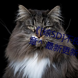 《[综SD]不良恋爱物语》稚* ^第9章^ 最新更新:2019 （手艺）