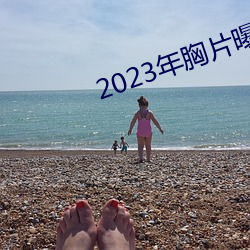 2023年胸片曝光 （入理切情）