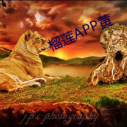 榴莲APP黄 （其应如响）