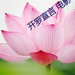 开罗宣(xuān)言 电影