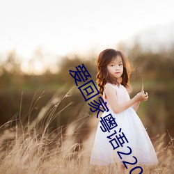 爱回家粤语220