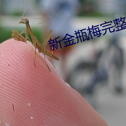 新(新)金瓶梅完整