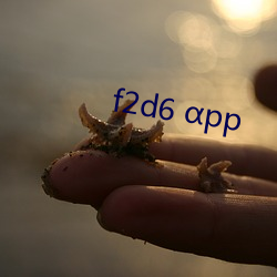 f2d6 pp