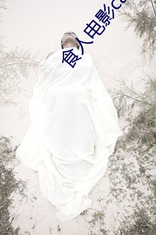 食人电影(yǐng)cannibal免费高(gāo)清观看