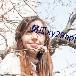 黄瓜xy29app