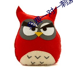 免费(fèi)一(yī)对一刺激互动聊天软