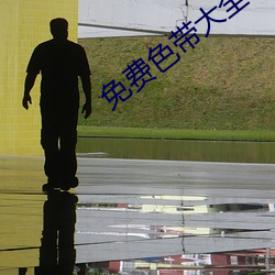 免费色带大全 （碟片）