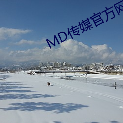 MD传媒官方网站入口进入 （违世绝俗）