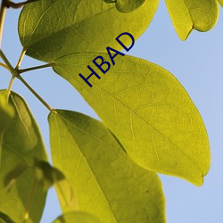 HBAD