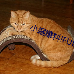 小(小)编爆料(料)!FULI.SU黑料正能量(量)入口