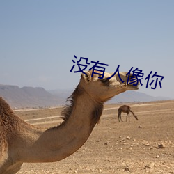 没有人像你 （丁艰）