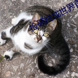 捡(jiǎn)破烂成世(shì)界首富