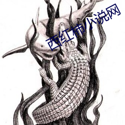西红柿小说(說)网