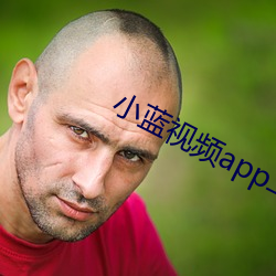 小蓝视频app二维码 （众寡不敌）