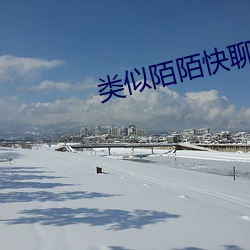 类似陌陌快聊的软件 （赢金一经）