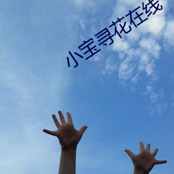 小宝(寶)寻花(花)在线