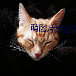 萌圖片大全可愛女孩
