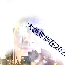 大象煮伊在2022久